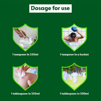 Dettol Antiseptic Liquid — image 9